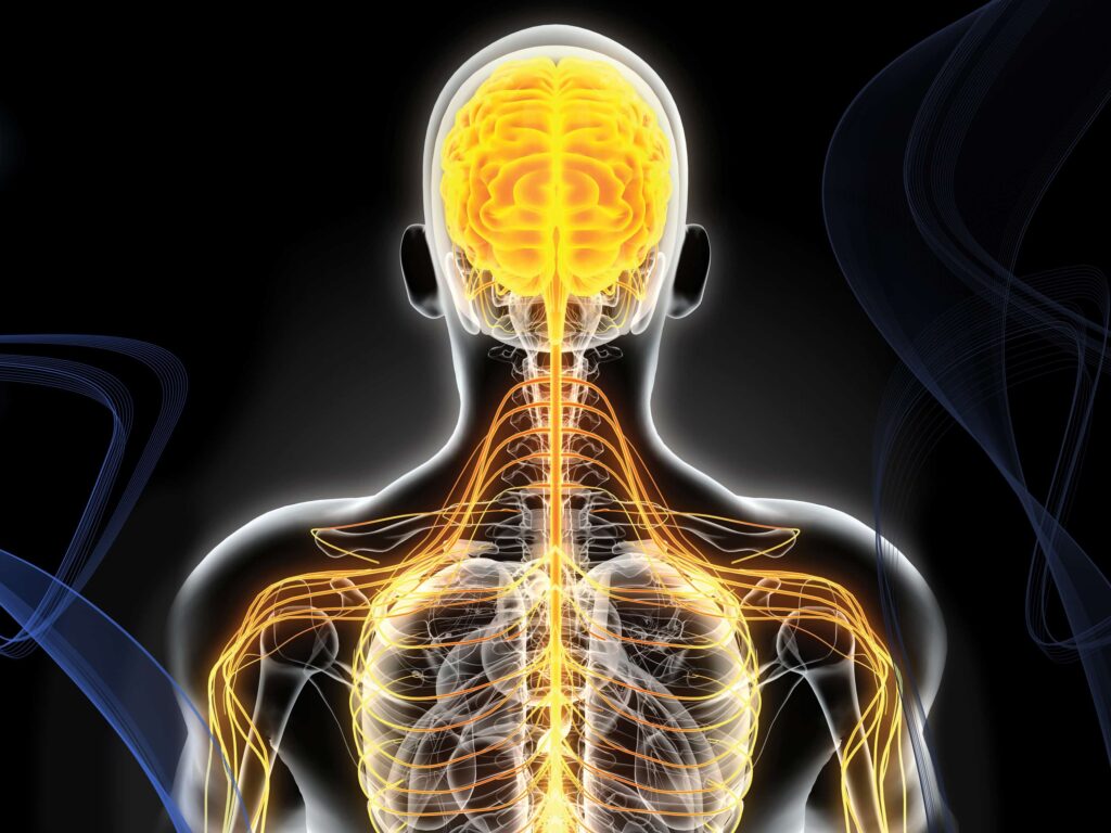 The Role of Neurological Surgeons in Avoiding Further Spinal Damage