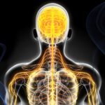 The Role of Neurological Surgeons in Avoiding Further Spinal Damage